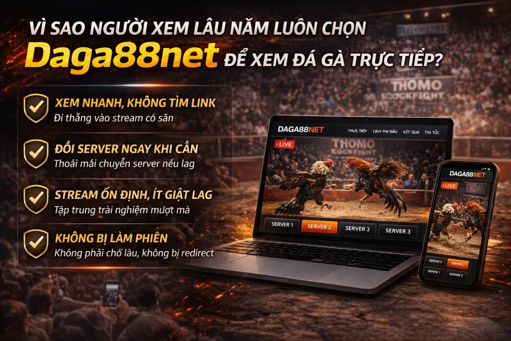 Lý do chọn Daga88net để xem Đá Gà
