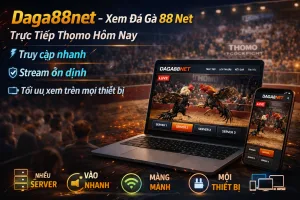 Xem Đá Gà Trực Tiếp Thomo